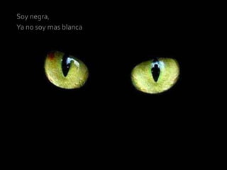 Soy negra,
Ya no soy mas blanca