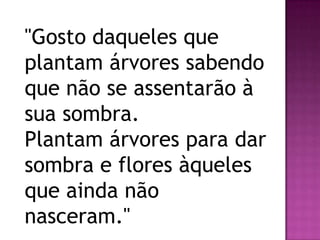 "Gosto daqueles que
plantam árvores sabendo
que não se assentarão à
sua sombra.
Plantam árvores para dar
sombra e flores àqueles
que ainda não
nasceram."
 