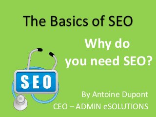 The Basics of SEO
Why do
you need SEO?
By Antoine Dupont
CEO – ADMIN eSOLUTIONS
 