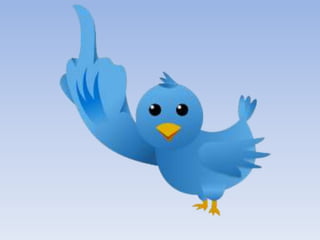 MICROBLOGS TWITTER EN LA ADMINISTRACION