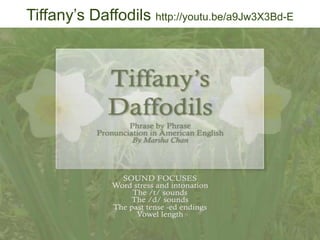 Tiffany’s Daffodils http://youtu.be/a9Jw3X3Bd-E

 