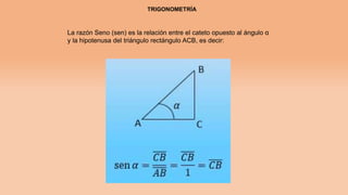 TRIGONOMETRÍA
La razón Seno (sen) es la relación entre el cateto opuesto al ángulo α
y la hipotenusa del triángulo rectángulo ACB, es decir:
 