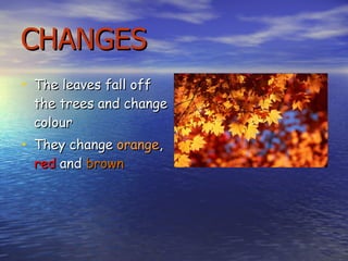 CHANGES The leaves fall off the trees and change colour They change  orange ,  red  and  brown   