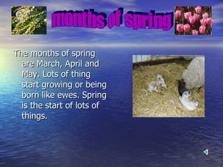 The months of spring are March, April and May. Lots of thing start growing or being born like ewes. Spring is the start of lots of things.  months of spring 