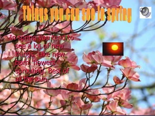 In spring you tend to see a lot of new things. Like new born. flowers sprouting. Best of all the sun.   Things you can see in spring 