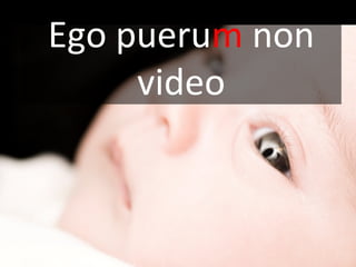 Ego puerum non
video
 