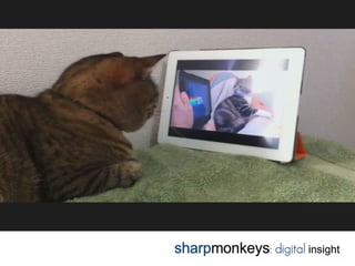 Video viral