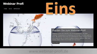 www.webinar-profi.de

 