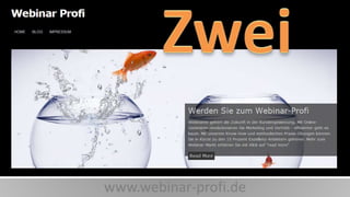 www.webinar-profi.de

 