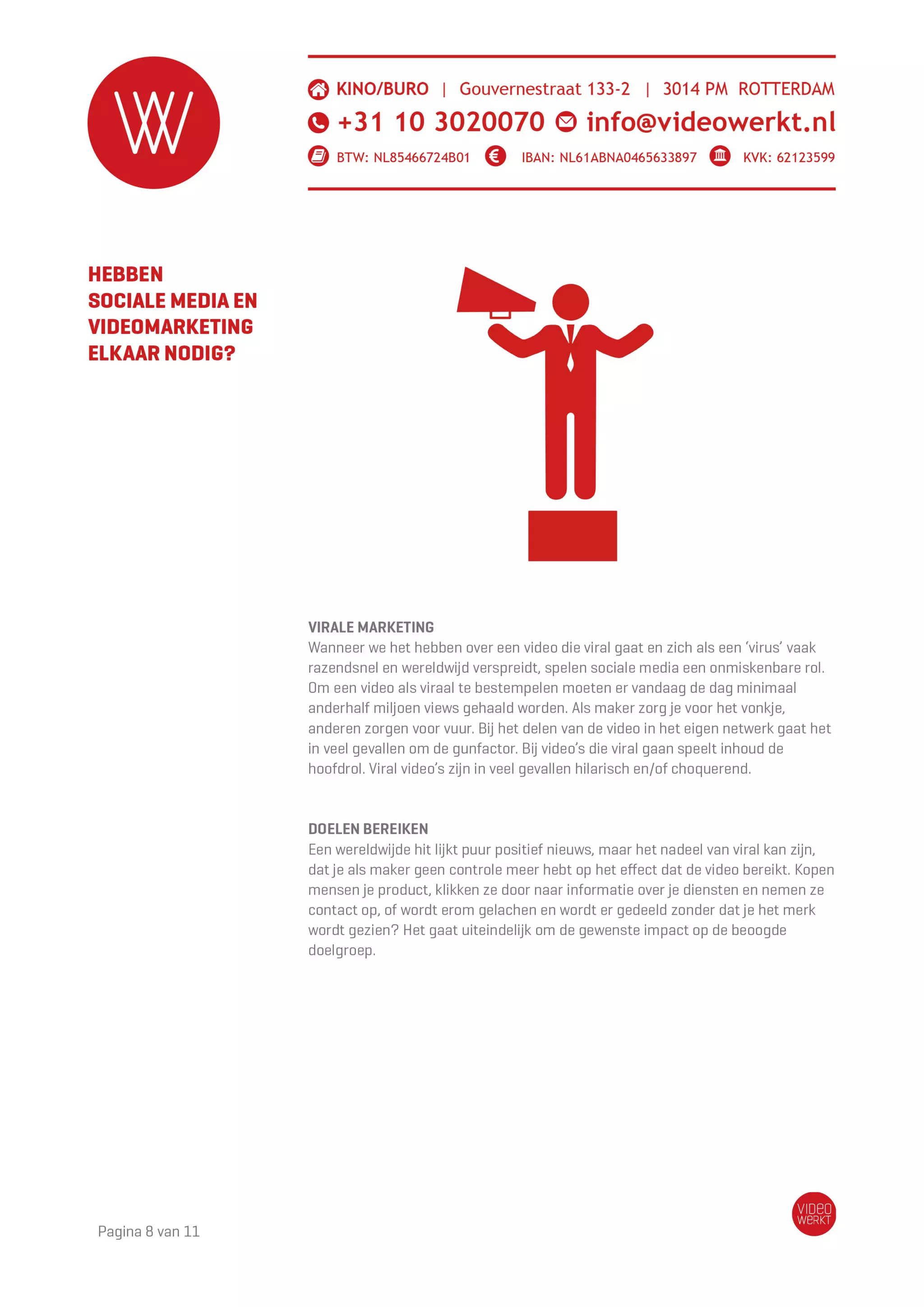 VideoWerkt videomarketing whitepaper