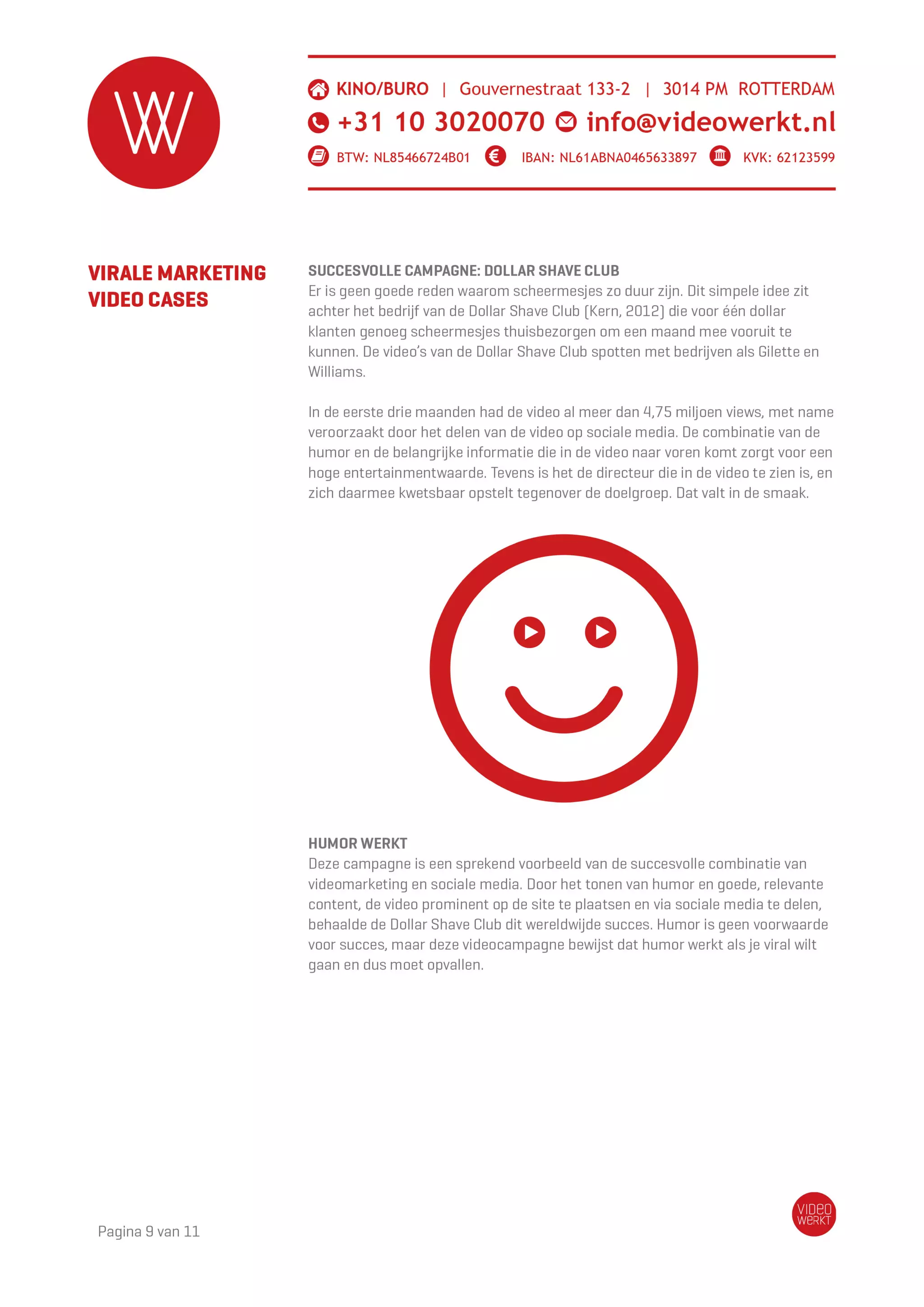 VideoWerkt videomarketing whitepaper