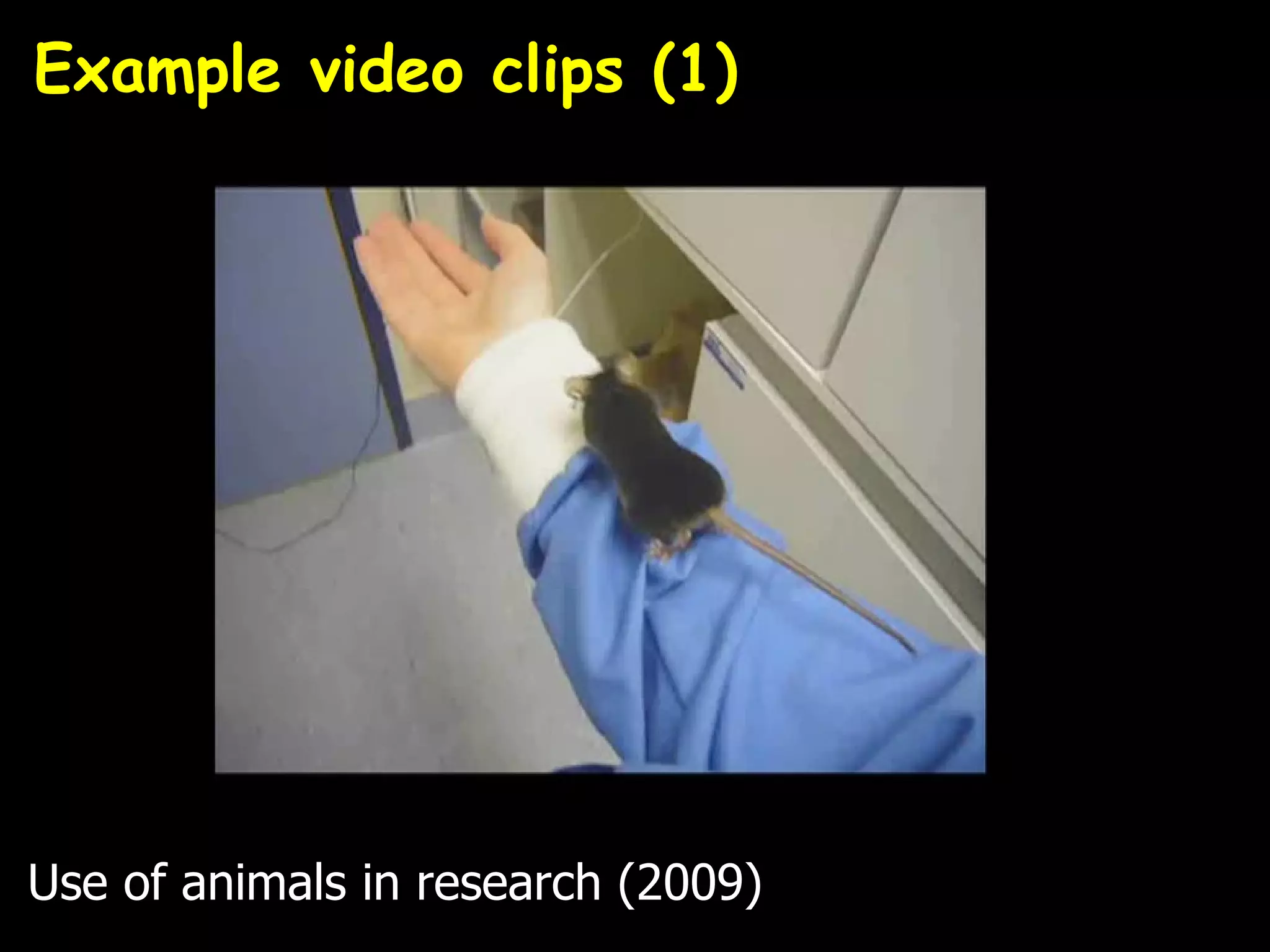 Example video clips (1)




Use of animals in research (2009)
 