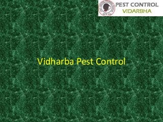Vidharba Pest Control
 