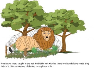 Neetu saw Sheru caught in the net. He bit the net with his sharp teeth and slowly made a big
hole in it. Sheru came out of the net through the hole.

 