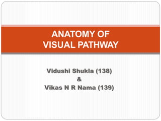 Vidushi Shukla (138)
&
Vikas N R Nama (139)
ANATOMY OF
VISUAL PATHWAY
 