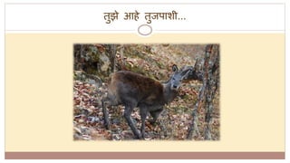 तुझे आहे तुजपाशी...
 