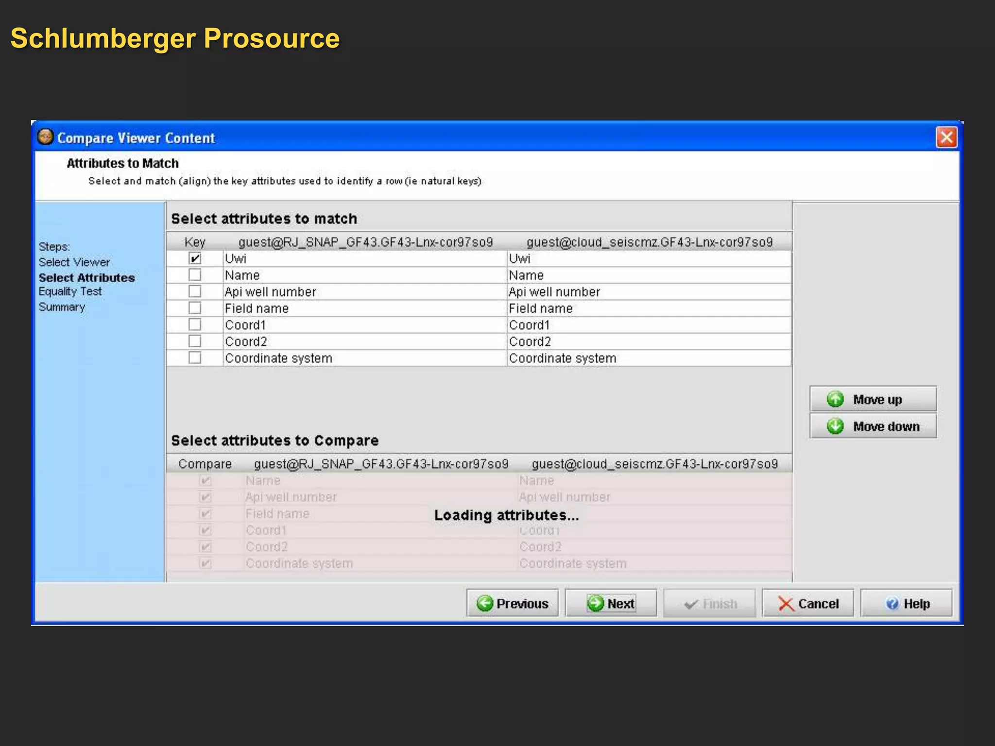 Schlumberger Prosource
 