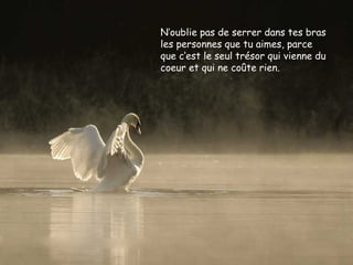 N‘oublie pas de serrer dans tes bras
les personnes que tu aimes, parce
que c‘est le seul trésor qui vienne du
coeur et qui ne coûte rien.
 