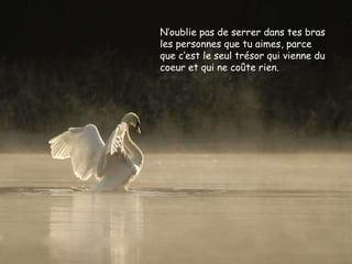 N‘oublie pas de serrer dans tes bras les personnes que tu aimes, parce que c‘est le seul trésor qui vienne du coeur et qui ne coûte rien.  