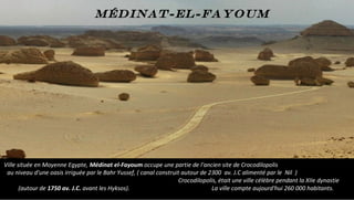 Ville située en Moyenne Egypte, Médinat el-Fayoum occupe une partie de l'ancien site de Crocodilopolis
au niveau d'une oasis irriguée par le Bahr Yussef, ( canal construit autour de 2300 av. J.C alimenté par le Nil )
Crocodilopolis, était une ville célèbre pendant la XIIe dynastie
(autour de 1750 av. J.C. avant les Hyksos). La ville compte aujourd'hui 260 000 habitants.
Médinat-el-Fayoum
 