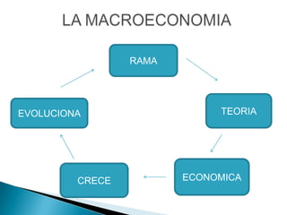 RAMA
EVOLUCIONA TEORIA
CRECE ECONOMICA