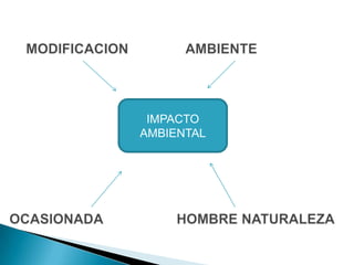 IMPACTO
AMBIENTAL
