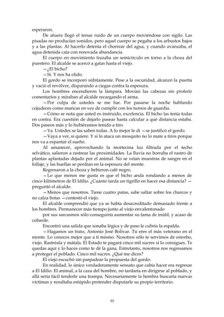 esperaron.
      De afuera llegó el tenue ruido de un cuerpo moviéndose con sigilo. Las
pisadas no producían sonidos, pero aquel cuerpo se pegaba a los arbustos bajos
y a las plantas. Al hacerlo detenía el chorrear del agua, y cuando avanzaba, el
agua detenida caía con renovada abundancia.
      El cuerpo en movimiento trazaba un semicírculo en torno a la choza del
puestero. El alcalde se acercó a gatas hasta el viejo.
      —¿El bicho?
      —Sí. Y nos ha olido.
      El gordo se incorporó súbitamente. Pese a la oscuridad, alcanzó la puerta
y vació el revólver, disparando a ciegas contra la espesura.
      Los hombres encendieron la lámpara. Movían las cabezas sin proferir
comentarios y miraban al alcalde recargando el arma.
      —Por culpa de ustedes se me fue. Por pasarse la noche hablando
cojudeces como maricas en vez de cumplir con los turnos de guardia.
      —Cómo se nota que usted es instruido, excelencia. El bicho las tenía todas
en contra. Era cuestión de dejarlo pasear hasta calcular a qué distancia estaba.
Dos paseos más y lo hubiéramos tenido a tiro.
      —Ya. Ustedes se las saben todas. A lo mejor le di —se justificó el gordo.
      —Vaya a ver, si quiere. Y si lo ataca un mosquito no lo mate a tiros porque
nos va a espantar el sueño.
      Al amanecer, aprovechando la mortecina luz filtrada por el techo
selvático, salieron a rastrear las proximidades. La lluvia no borraba el rastro de
plantas aplastadas dejado por el animal. No se veían muestras de sangre en el
follaje, y las huellas se perdían en la espesura del monte.
      Regresaron a la choza y bebieron café negro.
      —Lo que menos me gusta es que el bicho anda rondando a menos de
cinco kilómetros de El Idilio. ¿Cuánto tarda un tigrillo en hacer esa distancia? —
preguntó el alcalde.
      —Menos que nosotros. Tiene cuatro patas, sabe saltar sobre los charcos y
no calza botas —contestó el viejo.
      El alcalde comprendió que ya se había desacreditado demasiado frente a
los hombres. Permanecer más tiempo junto al viejo envalentonado
      por sus sarcasmos sólo conseguiría aumentar su fama de inútil, y acaso de
cobarde.
      Encontró una salida que sonaba lógica y de paso le cubría la espalda.
      —Hagamos un trato, Antonio José Bolívar. Tú eres el más veterano en el
monte. Lo conoces mejor que a ti mismo. Nosotros sólo te servimos de estorbo,
viejo. Rastréala y mátala. El Estado te pagará cinco mil sucres si lo consigues. Te
quedas aquí y lo haces como te dé la gana. Entretanto, nosotros nos regresamos
a proteger el poblado. Cinco mil sucres. ¿Qué me dices?
      El viejo escuchó sin parpadear la propuesta del gordo.
      En realidad, lo único verdaderamente sensato que cabía hacer era regresar
a El Idilio. El animal, a la caza del hombre, no tardaría en dirigirse al poblado, y
allá sería fácil tenderle una trampa. Necesariamente la hembra buscaría nuevas
víctimas y resultaba estúpido pretender disputarle su propio territorio.



                                        55
 