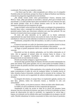 condenado. Por eso hay que matarlos a todos.
      —Así dicen que ha sido —dirá escupiendo por última vez el compadre
Nushiño antes de marcharse, porque los shuar se alejan al finalizar una historia,
evitando las preguntas engendradoras de mentiras.
      ¿De dónde vienen todos estos pensamientos? Vamos, Antonio José
Bolívar. Viejo. ¿Bajo qué planta se esconden y atacan? ¿Será que el miedo te ha
encontrado y ya nada puedes hacer para esconderte? Si es así, entonces los ojos
del miedo pueden verte, de la misma manera como tú ves las luces del
amanecer entrando por los resquicios de caña.
      Luego de beber varios tazones de café negro, se entregó a los preparativos.
Derritió unas velas y sumergió los cartuchos en el sebo licuado. Enseguida les
permitió gotear hasta que estuvieran cubiertos por una fina película. De esa
manera se conservarían secos aunque cayeran al agua.
      El resto del sebo derretido se lo aplicó en la frente cubriendo
especialmente las cejas hasta formar una suerte de visera. Con ello el agua no le
estorbaría la vista en caso de enfrentar al animal en un claro de selva.
      Finalmente, comprobó el filo del machete y se echó a la selva en busca de
rastros.
      Comenzó trazando un radio de doscientos pasos contados desde la choza
en dirección oriente, siguiendo las huellas encontradas el día anterior.
      Al llegar al punto propuesto inició una variante semicircular en pos del
suroeste.
      Descubrió un lote de plantas aplastadas, con los tallos enterrados en el
lodo. Ahí se agazapó el animal antes de avanzar hacia la choza, y las
formaciones de vegetales humillados se repetían cada ciertos pasos
desapareciendo en una ladera de monte.
      Olvidó esas huellas antiguas y siguió buscando.
      Al hacerlo bajo grandes hojas de banano silvestre encontró estampadas las
patas del animal. Eran patas grandes, tal vez como puños de hombre adulto, y
junto al rastro de pisadas encontró otros detalles que le hablaron de la conducta
del animal.
      La hembra no cazaba. Tallos quebrados a los costados de las huellas de las
patas contradecían el estilo de caza de cualquier felino. La hembra movía el
rabo, frenética hasta el descuido, excitada ante la cercanía de las víctimas. No,
no cazaba. Se movía con la seguridad de saberse enfrentada a especies menos
dotadas.
      La imaginó ahí mismo, el cuerpo flaco, la respiración agitada, ansiosa, los
ojos fijos, pétreos, todos los músculos tensos, y batiendo la cola con
sensualidad.
      —Bueno, bicho, ya sé cómo te mueves. Ahora me falta saber dónde estás.
      Le habló a la selva recibiendo la única respuesta del aguacero.
      Ampliando el radio de acción se alejó de la choza del puestero hasta
alcanzar una leve elevación de terreno, que pese a la lluvia le permitía un buen
punto de observación de todo lo recorrido. La vegetación se volvía baja y
espesa, en contraste con los árboles altos que lo protegían de un ataque a ras del
suelo. Decidió abandonar la lomita avanzando en línea recta hacia el poniente,



                                        59
 