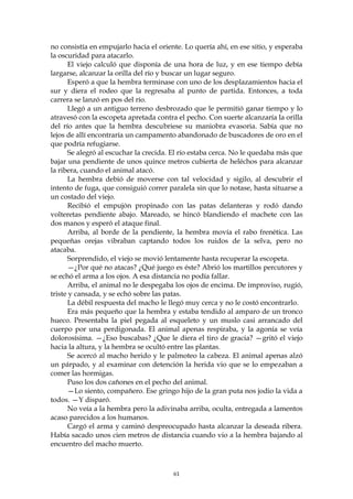 no consistía en empujarlo hacia el oriente. Lo quería ahí, en ese sitio, y esperaba
la oscuridad para atacarlo.
      El viejo calculó que disponía de una hora de luz, y en ese tiempo debía
largarse, alcanzar la orilla del río y buscar un lugar seguro.
      Esperó a que la hembra terminase con uno de los desplazamientos hacia el
sur y diera el rodeo que la regresaba al punto de partida. Entonces, a toda
carrera se lanzó en pos del río.
      Llegó a un antiguo terreno desbrozado que le permitió ganar tiempo y lo
atravesó con la escopeta apretada contra el pecho. Con suerte alcanzaría la orilla
del río antes que la hembra descubriese su maniobra evasoria. Sabía que no
lejos de allí encontraría un campamento abandonado de buscadores de oro en el
que podría refugiarse.
      Se alegró al escuchar la crecida. El río estaba cerca. No le quedaba más que
bajar una pendiente de unos quince metros cubierta de heléchos para alcanzar
la ribera, cuando el animal atacó.
      La hembra debió de moverse con tal velocidad y sigilo, al descubrir el
intento de fuga, que consiguió correr paralela sin que lo notase, hasta situarse a
un costado del viejo.
      Recibió el empujón propinado con las patas delanteras y rodó dando
volteretas pendiente abajo. Mareado, se hincó blandiendo el machete con las
dos manos y esperó el ataque final.
      Arriba, al borde de la pendiente, la hembra movía el rabo frenética. Las
pequeñas orejas vibraban captando todos los ruidos de la selva, pero no
atacaba.
      Sorprendido, el viejo se movió lentamente hasta recuperar la escopeta.
      —¿Por qué no atacas? ¿Qué juego es éste? Abrió los martillos percutores y
se echó el arma a los ojos. A esa distancia no podía fallar.
      Arriba, el animal no le despegaba los ojos de encima. De improviso, rugió,
triste y cansada, y se echó sobre las patas.
      La débil respuesta del macho le llegó muy cerca y no le costó encontrarlo.
      Era más pequeño que la hembra y estaba tendido al amparo de un tronco
hueco. Presentaba la piel pegada al esqueleto y un muslo casi arrancado del
cuerpo por una perdigonada. El animal apenas respiraba, y la agonía se veía
dolorosísima. —¿Eso buscabas? ¿Que le diera el tiro de gracia? —gritó el viejo
hacia la altura, y la hembra se ocultó entre las plantas.
      Se acercó al macho herido y le palmoteo la cabeza. El animal apenas alzó
un párpado, y al examinar con detención la herida vio que se lo empezaban a
comer las hormigas.
      Puso los dos cañones en el pecho del animal.
      —Lo siento, compañero. Ese gringo hijo de la gran puta nos jodio la vida a
todos. —Y disparó.
      No veía a la hembra pero la adivinaba arriba, oculta, entregada a lamentos
acaso parecidos a los humanos.
      Cargó el arma y caminó despreocupado hasta alcanzar la deseada ribera.
Había sacado unos cien metros de distancia cuando vio a la hembra bajando al
encuentro del macho muerto.



                                        61
 
