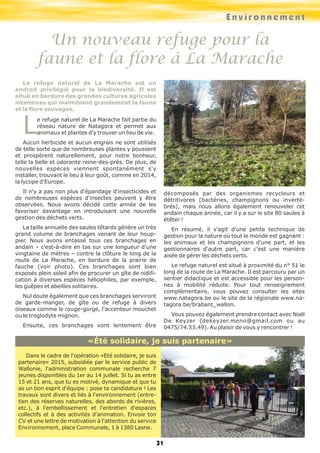 Le refuge naturel de La Marache est un
endroit privilégié pour la biodiversité. Il est
situé en bordure des grandes cultures agricoles
intensives qui malmènent grandement la faune
et la flore sauvages.
Le refuge naturel de La Marache fait partie du
réseau nature de Natagora et permet aux
animaux et plantes d'y trouver un lieu de vie.
Aucun herbicide et aucun engrais ne sont utilisés
de telle sorte que de nombreuses plantes y poussent
et prospèrent naturellement, pour notre bonheur,
telle la belle et odorante reine-des-prés. De plus, de
nouvelles espèces viennent spontanément s'y
installer, trouvant le lieu à leur goût, comme en 2014,
la lycope d'Europe.
Il n'y a pas non plus d'épandage d'insecticides et
de nombreuses espèces d'insectes peuvent y être
observées. Nous avons décidé cette année de les
favoriser davantage en introduisant une nouvelle
gestion des déchets verts.
La taille annuelle des saules têtards génère un très
grand volume de branchages venant de leur houp-
pier. Nous avons entassé tous ces branchages en
andain – c'est-à-dire en tas sur une longueur d'une
vingtaine de mètres – contre la clôture le long de la
route de La Marache, en bordure de la prairie de
fauche (voir photo). Ces branchages sont bien
exposés plein soleil afin de procurer un gîte de nidifi-
cation à diverses espèces héliophiles, par exemple,
les guêpes et abeilles solitaires.
Nul doute également que ces branchages serviront
de garde-manger, de gîte ou de refuge à divers
oiseaux comme le rouge-gorge, l'accenteur mouchet
ou le troglodyte mignon.
Ensuite, ces branchages vont lentement être
décomposés par des organismes recycleurs et
détritivores (bactéries, champignons ou inverté-
brés), mais nous allons également renouveler cet
andain chaque année, car il y a sur le site 80 saules à
étêter !
En résumé, il s'agit d'une petite technique de
gestion pour la nature où tout le monde est gagnant :
les animaux et les champignons d'une part, et les
gestionnaires d'autre part, car c'est une manière
aisée de gérer les déchets verts.
Le refuge naturel est situé à proximité du n° 51 le
long de la route de La Marache. Il est parcouru par un
sentier didactique et est accessible pour les person-
nes à mobilité réduite. Pour tout renseignement
complémentaire, vous pouvez consulter les sites
www.natagora.be ou le site de la régionale www.na-
tagora.be/brabant_wallon.
Vous pouvez également prendre contact avec Noël
De Keyzer (dekeyzer.meno@gmail.com ou au
0475/74.53.49). Au plaisir de vous y rencontrer !
Environnement
Un nouveau refuge pour la
faune et la flore à La Marache
Dans le cadre de l'opération «Eté solidaire, je suis
partenaire» 2015, subsidiée par le service public de
Wallonie, l'administration communale recherche 7
jeunes disponibles du 1er au 14 juillet. Si tu as entre
15 et 21 ans, que tu es motivé, dynamique et que tu
as un bon esprit d'équipe : pose ta candidature ! Les
travaux sont divers et liés à l'environnement (entre-
tien des réserves naturelles, des abords de rivières,
etc.), à l'embellissement et l'entretien d'espaces
collectifs et à des activités d'animation. Envoie ton
CV et une lettre de motivation à l'attention du service
Environnement, place Communale, 1 à 1380 Lasne.
«Été solidaire, je suis partenaire»
31
 
