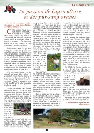 A g r i c u l t u r e 
La passion de l'agriculture 
et des pur-sang arabes 
38 
N o u s c o n t i n u o n s n o t r e 
découverte des exploitations 
agricoles Cde Lasne. ette fois-ci, nous allons 
au haras de Croissart, à 
la Vallée à la Dame à 
Maransart, où pur-sang arabes et 
agriculture se côtoient joyeuse-ment. 
Joëlle et Georges Focke le 
disent d'emblée : «le pur-sang 
arabe est le plus beau et le plus 
intelligent cheval du monde». 
Cette passion pour le pur-sang 
arabe est venue se greffer aux 
activités agricoles de Georges en 
2002. L'épouse de Georges a acquis 
un premier pur-sang arabe en 1990, 
en y mettant ses 3 premiers mois de 
salaire ! L'étalon s'appelait Nuts. 
Celui-ci, importé d'Angleterre, faisait 
la joie de Joëlle. Les années passées 
avec Nuts permirent à Joëlle 
d'appréhender le relationnel avec 
ces chevaux pleins de caractère. 
«Le pur-sang arabe est un 
cheval qui peut être jaloux et 
possessif, mais il aime plaire, et 
peut montrer beaucoup d'affection 
si le feeling est présent avec son 
cavalier. Quand je monte un pur-sang 
arabe, je le sens penser», 
explique Joëlle. 
La mort de Nuts en 2001 fut une 
révélation. Après 3 mois de deuil 
hippique, où le plaisir du cheval avait 
complètement disparu, Georges et 
Joëlle comprirent que c'était le 
caractère d'un pur-sang arabe qui 
leur manquait le plus. C'est donc tout 
naturellement qu'ils se décidèrent de 
partir à la 
recherche 
d'un autre 
pur-sang 
a r a b e . 
A p r è s 
a v o i r 
é c u m é 
plusieurs élevages, c'est à Lierneux 
qu'ils jetèrent leur dévolu sur 
Paladin. Etalon magnifique, mais 
possédant une mauvaise réputation 
dans les concours de beauté de pur-sang 
arabe, de par son caractère 
«difficile». A noter que ce jour, 
Georges flasha sur une jument de 
l'élevage à Lierneux et se promit d'un 
jour acquérir un poulain de cette 
dernière. En 2002, Joëlle avait réussi 
son pari : elle avait dressé et débour-ré 
Paladin, lui qui était si difficile aux 
yeux de tous. C'est à ce moment que 
le haras de Croissart, ainsi que sa 
réputation, apparurent. Miss Victory, 
la pouliche de la jument dont 
Georges avait apprécié sa beauté, 
fut achetée quelque temps après 
avec le même succès au dressage. 
Idem pour Miss 
Too, dont les 
phobies (comme 
l ' e a u p a r 
e x e m p l e ) 
d i s p a r u r e n t 
g r â c e à 
l'expertise de 
J o ë l l e e t 
Georges. 
Aujourd'hui, 
le couple s'occupe d'une vingtaine 
de pur-sang arabes, dont les 
qualités sont reconnues par plu-sieurs 
pays : Belgique, France, 
Maroc, Arabie Saoudite, Emirats 
Arabes Unis,… Tous ces pays ont un 
point commun : avoir au moins un 
pur-sang arabe venu tout droit du 
haras de Croissart, qui foule leur 
territoire. 
Cette passion se partage 
quotidiennement avec une autre : 
l'agriculture. C'est en 1954 que le 
grand-père paternel de Georges 
arriva avec ses 4 enfants à la 
ferme d'Hubermont à Maransart. A 
la retraite de ce dernier, ce sont 2 
de ses fils, Arsène et Antoine (le 
papa de Georges), qui reprirent 
l'exploitation agricole familiale 
avec leurs épouses respectives. 
Arsène s'occupait plutôt des 
vaches laitières, alors qu'Antoine 
élevait des porcs Piétrain. 
A la reprise de l'exploitation 
agricole par Georges en 1999, 
celui-ci se concentra sur ses 
cultures et un peu plus tard sur le 
haras de Croissart. Georges 
connaissait bien l'exploitation 
dans laquelle il travaillait depuis 
1991. Ses cultures se composent 
de céréales, betteraves, maïs et 
anciennement de chicorées. Sans 
oublier la gestion des prairies. 
L'agriculteur a ça dans le sang et 
nous le confirme : «j'adore ce 
mode de vie que l'on retrouve 
dans l'agriculture». 
En 2007, la famille quitte la 
f e r m e d ' H u b e r m o n t , p o u r 
s'installer dans les bâtiments 
actuels à la Vallée à la Dame. 
P e t i t e 
anecdote : la 
famille Focke 
possède aussi 
un petit élevage 
a m a t e u r d e 
c hat s Maine-coon 
! Un caractère amitieux de 
chien dans le corps d'un chat qui 
ressemble à s'y méprendre à un 
lynx, c'est particulier ! 
N'hésitez pas à aller consulter 
leur site www.harasdecroissart.be. 
L'échevin de l'agriculture, 
Cédric Gillis 
Joëlle et Nuts. 
