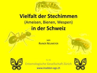 Vielfalt der Stechimmen
 (Ameisen, Bienen, Wespen)
      in der Schweiz
                  von
           RAINER NEUMEYER




                 für die

  Entomologische Gesellschaft Zürich
          www.insekten-egz.ch
 