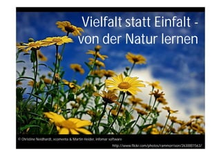 Vielfalt statt Einfalt -
                                     von der Natur lernen




© Christine Neidhardt, ecomenta & Martin Heider, infomar software
                                                           http://www.flickr.com/photos/rammorrison/2630001563/
 