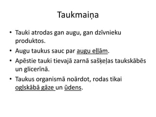 Taukmaiņa
• Tauki atrodas gan augu, gan dzīvnieku
  produktos.
• Augu taukus sauc par augu eļļām.
• Apēstie tauki tievajā zarnā sašķeļas taukskābēs
  un glicerīnā.
• Taukus organismā noārdot, rodas tikai
  ogļskābā gāze un ūdens.
 