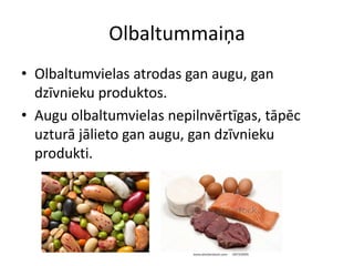 Olbaltummaiņa
• Olbaltumvielas atrodas gan augu, gan
  dzīvnieku produktos.
• Augu olbaltumvielas nepilnvērtīgas, tāpēc
  uzturā jālieto gan augu, gan dzīvnieku
  produkti.
 