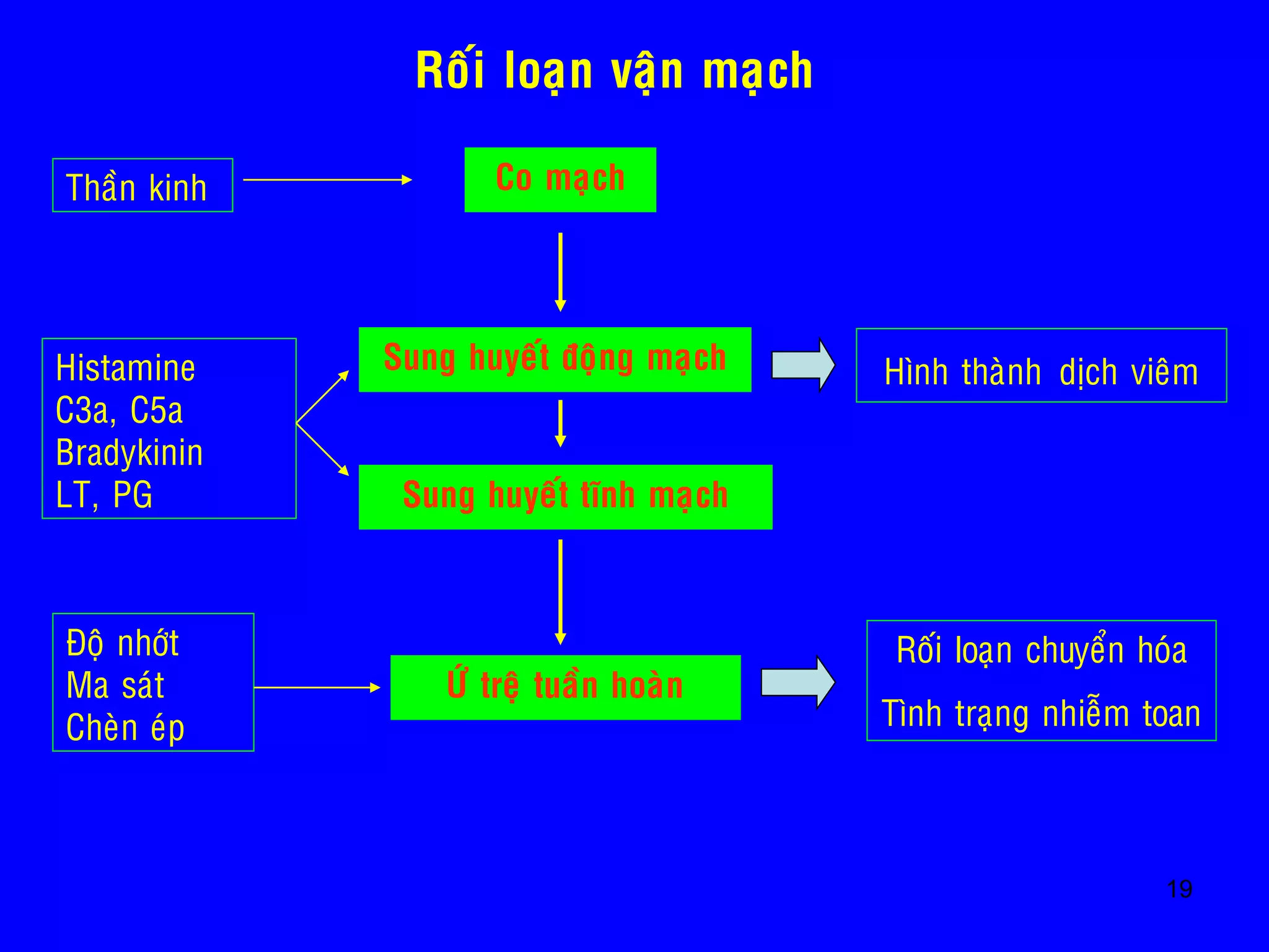 19
Co maïch
Sung huyeát ñoäng maïch
Sung huyeát tónh maïch
ÖÙ treä tuaàn hoaøn
Thaàn kinh
Histamine
C3a, C5a
Bradykinin
LT, PG
Ñoä nhôùt
Ma saùt
Cheøn eùp
Hình thaønh dòch vieâm
Roái loaïn chuyeån hoùa
Tình traïng nhieãm toan
Roái loaïn vaän maïch
 