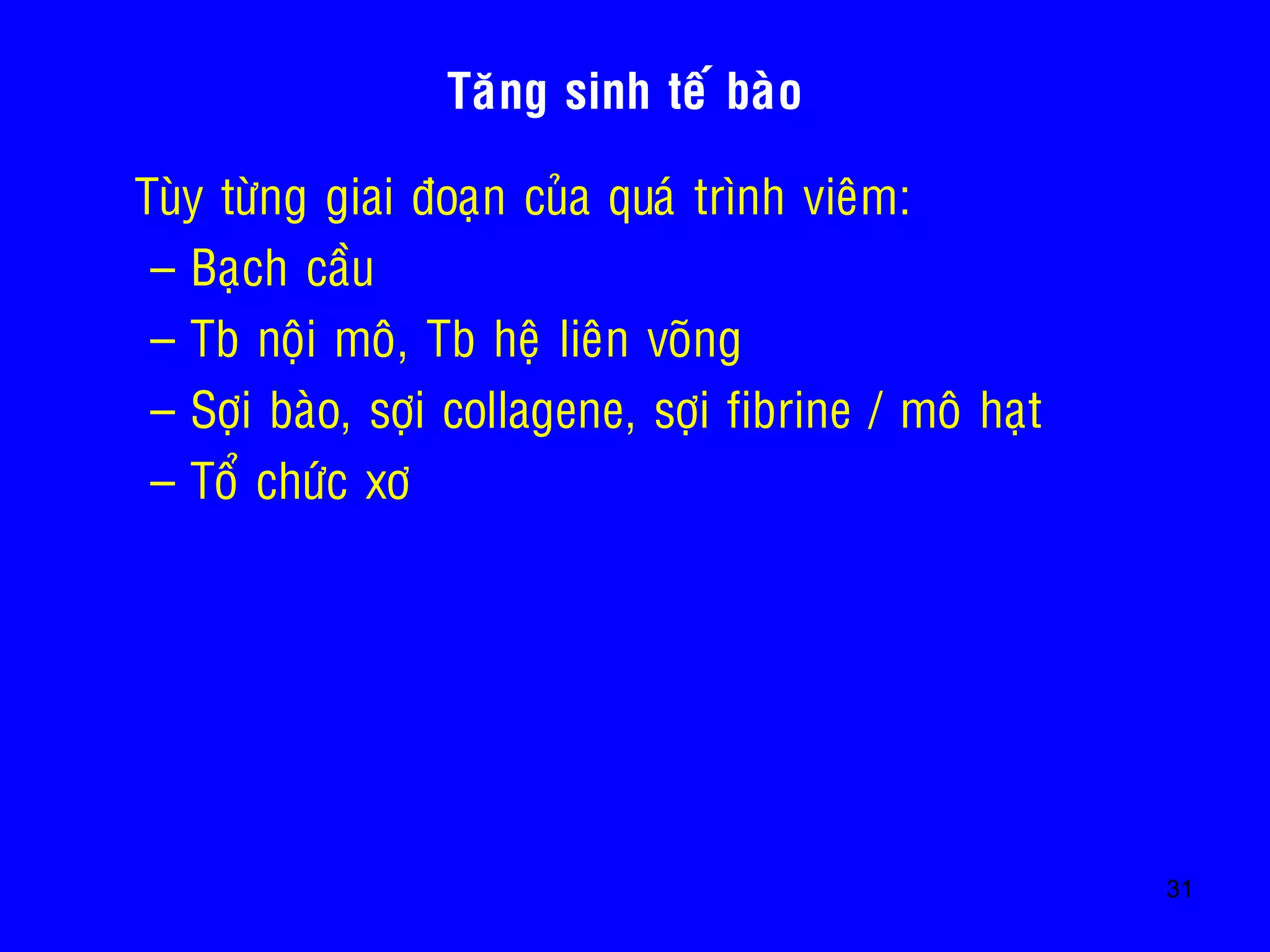 31
Taêng sinh teá baøo
• Tuøy töøng giai ñoaïn cuûa quaù trình vieâm:
– Baïch caàu
– Tb noäi moâ, Tb heä lieân voõng
– Sôïi baøo, sôïi collagene, sôïi fibrine / moâ haït
– Toå chöùc xô
 