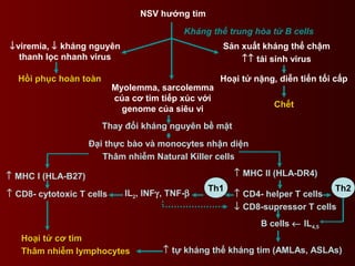 NSV hướng tim
Kháng thế trung hòa từ B cells
↓viremia, ↓ kháng nguyên
thanh lọc nhanh virus
Sản xuất kháng thể chậm
↑↑ tái sinh virus
Hồi phục hoàn toànHồi phục hoàn toàn Hoại tử nặng, diễn tiến tối cấp
ChếtChết
Myolemma, sarcolemma
của cơ tim tiếp xúc với
genome của siêu vi
Thay đổi kháng nguyên bề mặt
Đại thực bào và monocytes nhận diện
Thâm nhiễm Natural Killer cells
↑ MHC I (HLA-B27)
↑ CD8- cytotoxic T cells
↑ MHC II (HLA-DR4)
↑ CD4- helper T cells
↓ CD8-supressor T cells
Th1 Th2
IL2, INFγ, TNF-β
B cells ← IL4,5
↑ tự kháng thể kháng tim (AMLAs, ASLAs)
Hoại tử cơ timHoại tử cơ tim
Thâm nhiễm lymphocytesThâm nhiễm lymphocytes
 