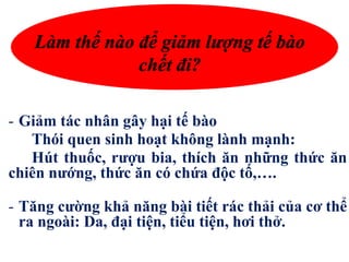 - Giảm tác nhân gây hại tế bào
Thói quen sinh hoạt không lành mạnh:
Hút thuốc, rượu bia, thích ăn những thức ăn
chiên nướng, thức ăn có chứa độc tố,….
- Tăng cường khả năng bài tiết rác thải của cơ thể
ra ngoài: Da, đại tiện, tiểu tiện, hơi thở.
Làm thế nào để giảm lượng tế bào
chết đi?
 