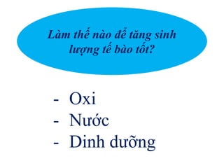 Làm thế nào để tăng sinh
lượng tế bào tốt?
- Oxi
- Nước
- Dinh dưỡng
 