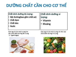 DƯỠNG CHẤT CẦN CHO CƠ THỂ
Con người cần một lượng lớn
các chất dinh dưỡng đa lượng
(> 1gam/ngày)
Con người cần một lượng rất nhỏ các
chất dinh dưỡng vi lượng
 