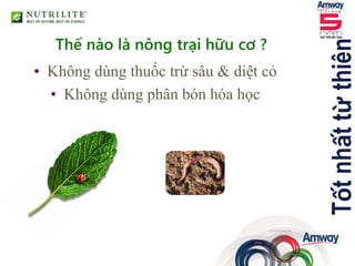 • Không dùng thuốc trừ sâu & diệt cỏ
• Không dùng phân bón hóa học
Tốtnhấttừthiên
Thế nào là nông trại hữu cơ ?
 