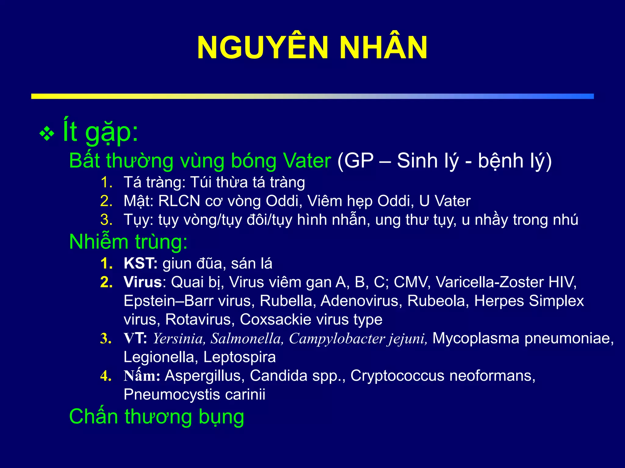  Ít gặp:
Bất thường vùng bóng Vater (GP – Sinh lý - bệnh lý)
1. Tá tràng: Túi thừa tá tràng
2. Mật: RLCN cơ vòng Oddi, Viêm hẹp Oddi, U Vater
3. Tụy: tụy vòng/tụy đôi/tụy hình nhẫn, ung thư tụy, u nhầy trong nhú
Nhiễm trùng:
1. KST: giun đũa, sán lá
2. Virus: Quai bị, Virus viêm gan A, B, C; CMV, Varicella-Zoster HIV,
Epstein–Barr virus, Rubella, Adenovirus, Rubeola, Herpes Simplex
virus, Rotavirus, Coxsackie virus type
3. VT: Yersinia, Salmonella, Campylobacter jejuni, Mycoplasma pneumoniae,
Legionella, Leptospira
4. Nấm: Aspergillus, Candida spp., Cryptococcus neoformans,
Pneumocystis carinii
Chấn thương bụng
NGUYÊN NHÂN
 