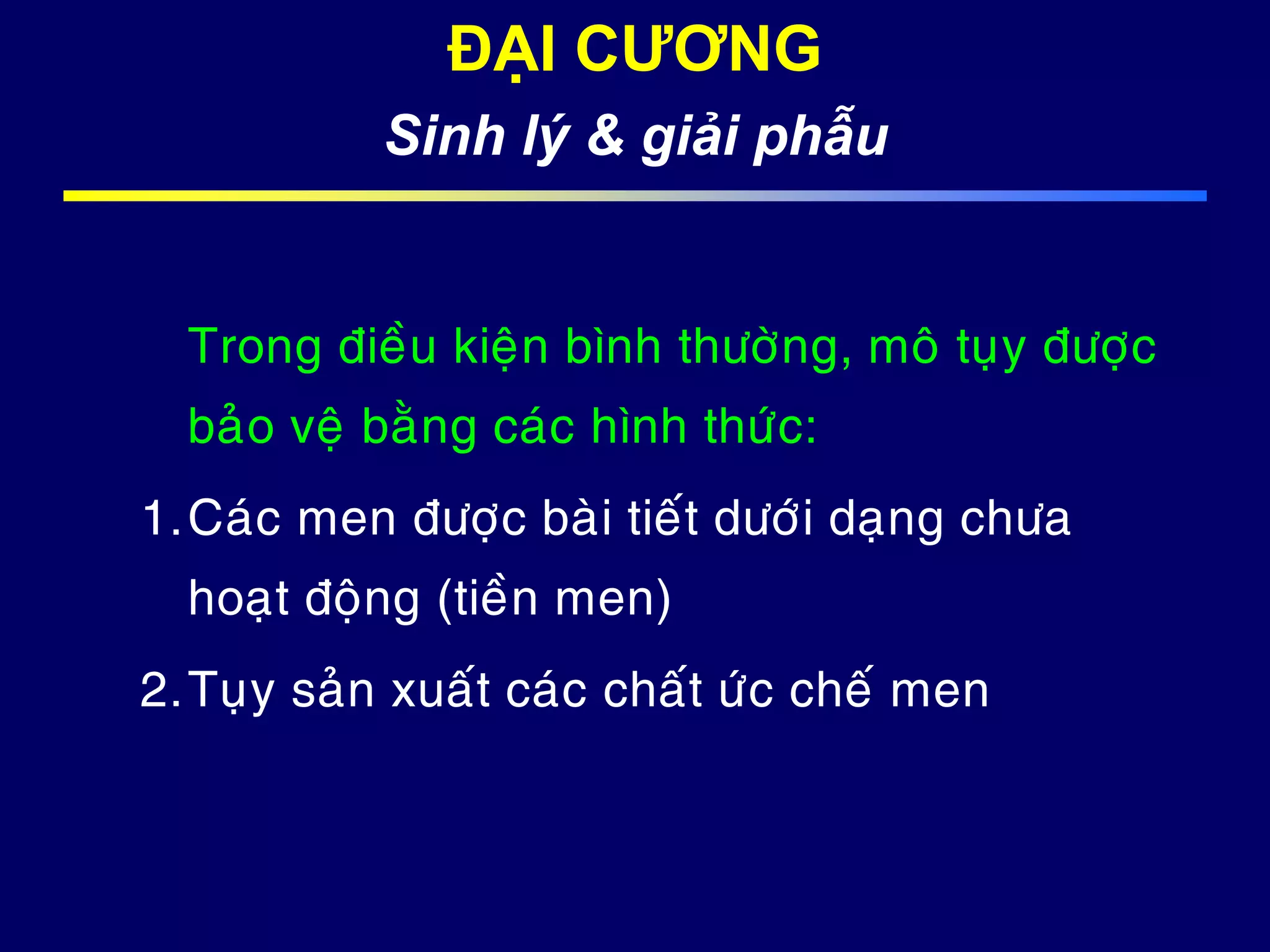 Trong ñieàu kieän bình thöôøng, moâ tuïy ñöôïc
baûo veä baèng caùc hình thöùc:
1.Caùc men ñöôïc baøi tieát döôùi daïng chöa
hoaït ñoäng (tieàn men)
2.Tuïy saûn xuaát caùc chaát öùc cheá men
ĐẠI CƯƠNG
Sinh lý & giải phẫu
 