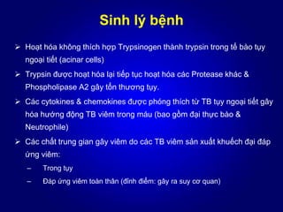 Sinh lý bệnh
 Hoạt hóa không thích hợp Trypsinogen thành trypsin trong tế bào tụy
ngoại tiết (acinar cells)
 Trypsin được hoạt hóa lại tiếp tục hoạt hóa các Protease khác &
Phospholipase A2 gây tổn thương tụy.
 Các cytokines & chemokines được phóng thích từ TB tụy ngoại tiết gây
hóa hướng động TB viêm trong máu (bao gồm đại thực bào &
Neutrophile)
 Các chất trung gian gây viêm do các TB viêm sản xuất khuếch đại đáp
ứng viêm:
– Trong tụy
– Đáp ứng viêm toàn thân (đỉnh điểm: gây ra suy cơ quan)
 