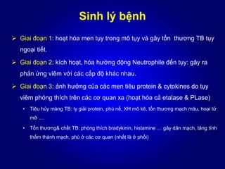Sinh lý bệnh
 Giai đoạn 1: hoạt hóa men tụy trong mô tụy và gây tổn thương TB tụy
ngoại tiết.
 Giai đoạn 2: kích hoạt, hóa hướng động Neutrophile đến tụy: gây ra
phản ứng viêm với các cấp độ khác nhau.
 Giai đoạn 3: ảnh hưởng của các men tiêu protein & cytokines do tụy
viêm phóng thích trên các cơ quan xa (hoạt hóa cả etalase & PLase)
• Tiêu hủy màng TB: ly giải protein, phù nề, XH mô kẽ, tổn thương mạch máu, hoại tử
mỡ …
• Tổn thương& chết TB: phóng thích bradykinin, histamine … gây dãn mạch, tăng tính
thấm thành mạch, phù ở các cơ quan (nhất là ở phổi)
 