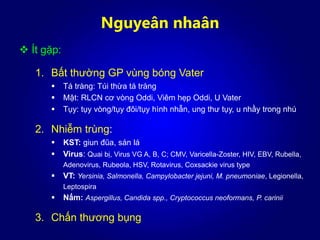 Nguyeân nhaân
 Ít gặp:
1. Bất thường GP vùng bóng Vater
 Tá tràng: Túi thừa tá tràng
 Mật: RLCN cơ vòng Oddi, Viêm hẹp Oddi, U Vater
 Tụy: tụy vòng/tụy đôi/tụy hình nhẫn, ung thư tụy, u nhầy trong nhú
2. Nhiễm trùng:
 KST: giun đũa, sán lá
 Virus: Quai bị, Virus VG A, B, C; CMV, Varicella-Zoster, HIV, EBV, Rubella,
Adenovirus, Rubeola, HSV, Rotavirus, Coxsackie virus type
 VT: Yersinia, Salmonella, Campylobacter jejuni, M. pneumoniae, Legionella,
Leptospira
 Nấm: Aspergillus, Candida spp., Cryptococcus neoformans, P. carinii
3. Chấn thương bụng
 