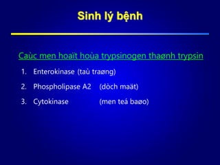 Sinh lý bệnh
Caùc men hoaït hoùa trypsinogen thaønh trypsin
1. Enterokinase (taù traøng)
2. Phospholipase A2 (dòch maät)
3. Cytokinase (men teá baøo)
 