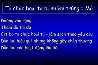Tổ chức hoại tử bị nhiễm trùng = Mổ
Đường vào rộng
Thăm dò tối đa
Cắt bỏ tổ chức hoại tử - làm sạch theo yêu cầu
Dẫn lưu hiệu quả nhưng không gây chấn thương
Dẫn lưu còn hoạt động lâu dài
 