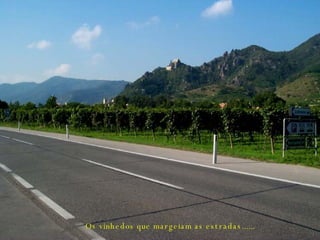 Os vinhedos que margeiam as estradas...... 